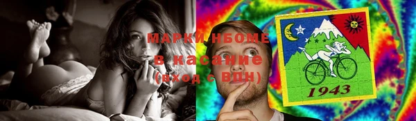 сатива Белокуриха