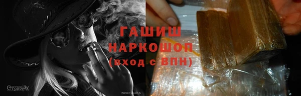 сатива Белокуриха