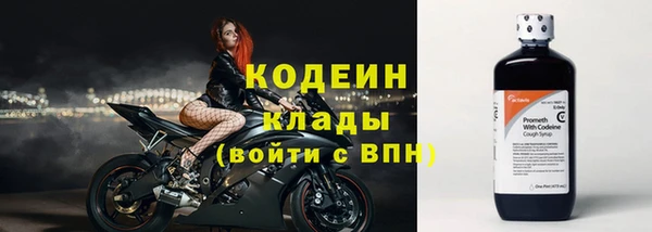 сатива Белокуриха