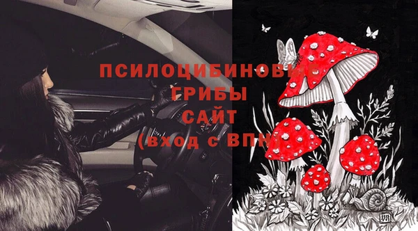 сатива Белокуриха