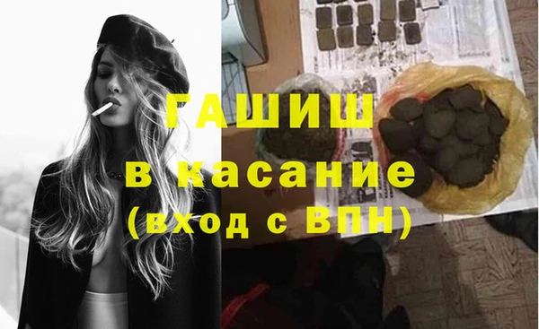 сатива Белокуриха