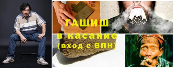 сатива Белокуриха