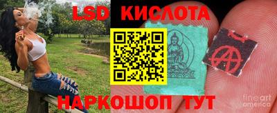 стафф Владимир