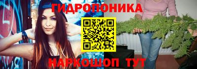 СК Боровичи