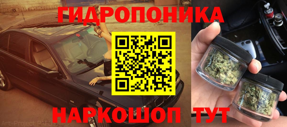 МАРИХУАНА тримм  Шишки марихуана марихуана  Маркс  Бошки Шишки гибрид  Вход с VPN  Канабис THC 21% 